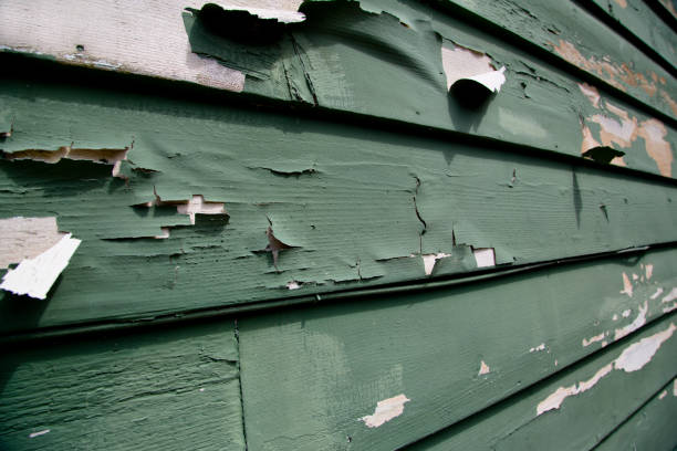 Best Custom Siding Design  in Columbia, CA